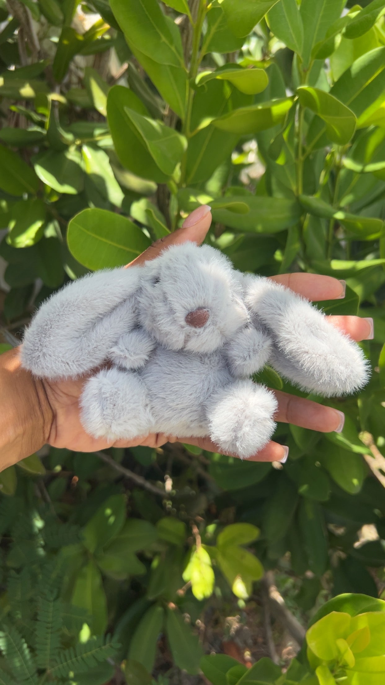 Bunny Bunniii