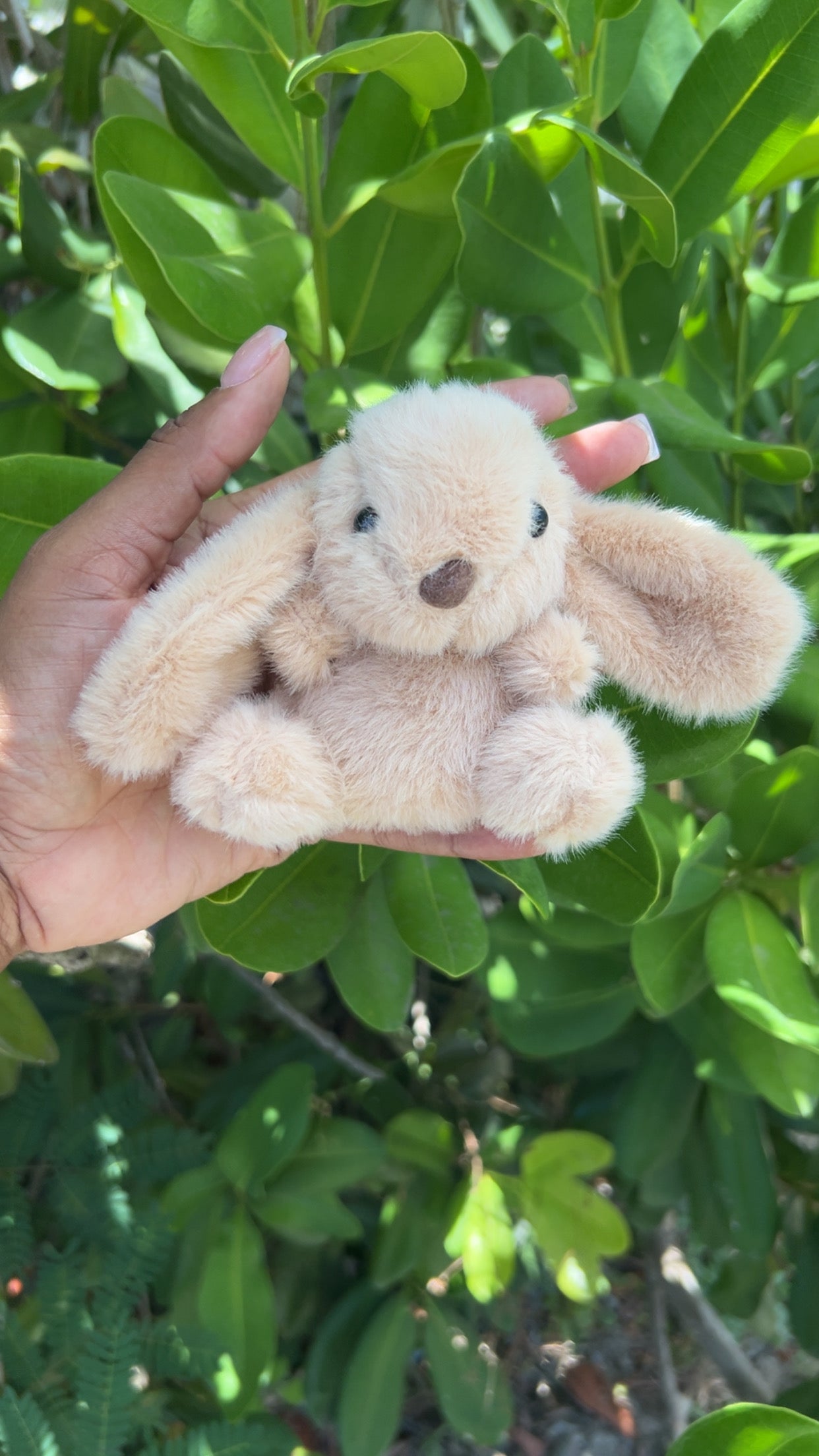 Bunny Bunniii