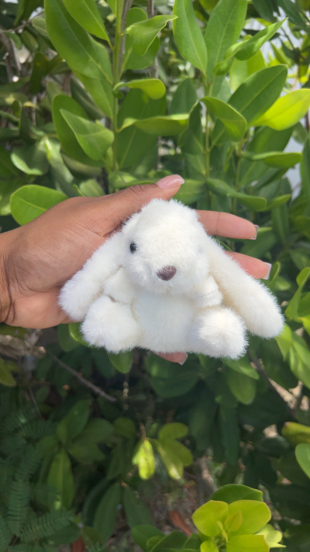Bunny Bunniii