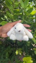 Bunny Bunniii