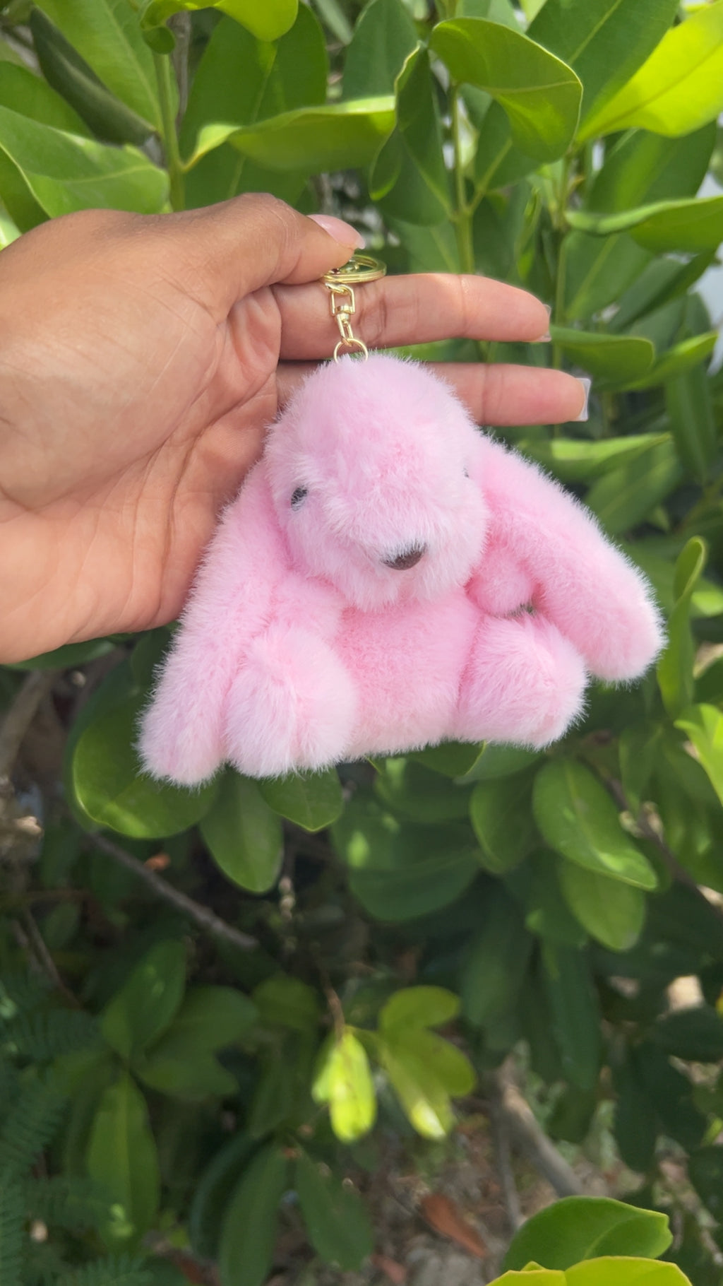 Bunny Bunniii